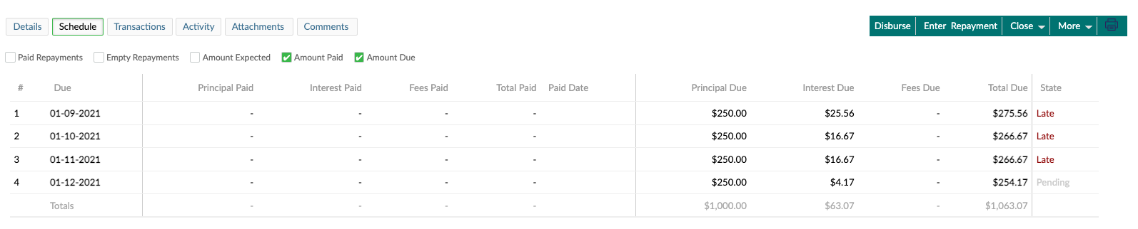 The schedule of a Revolving loan showing the amount paid